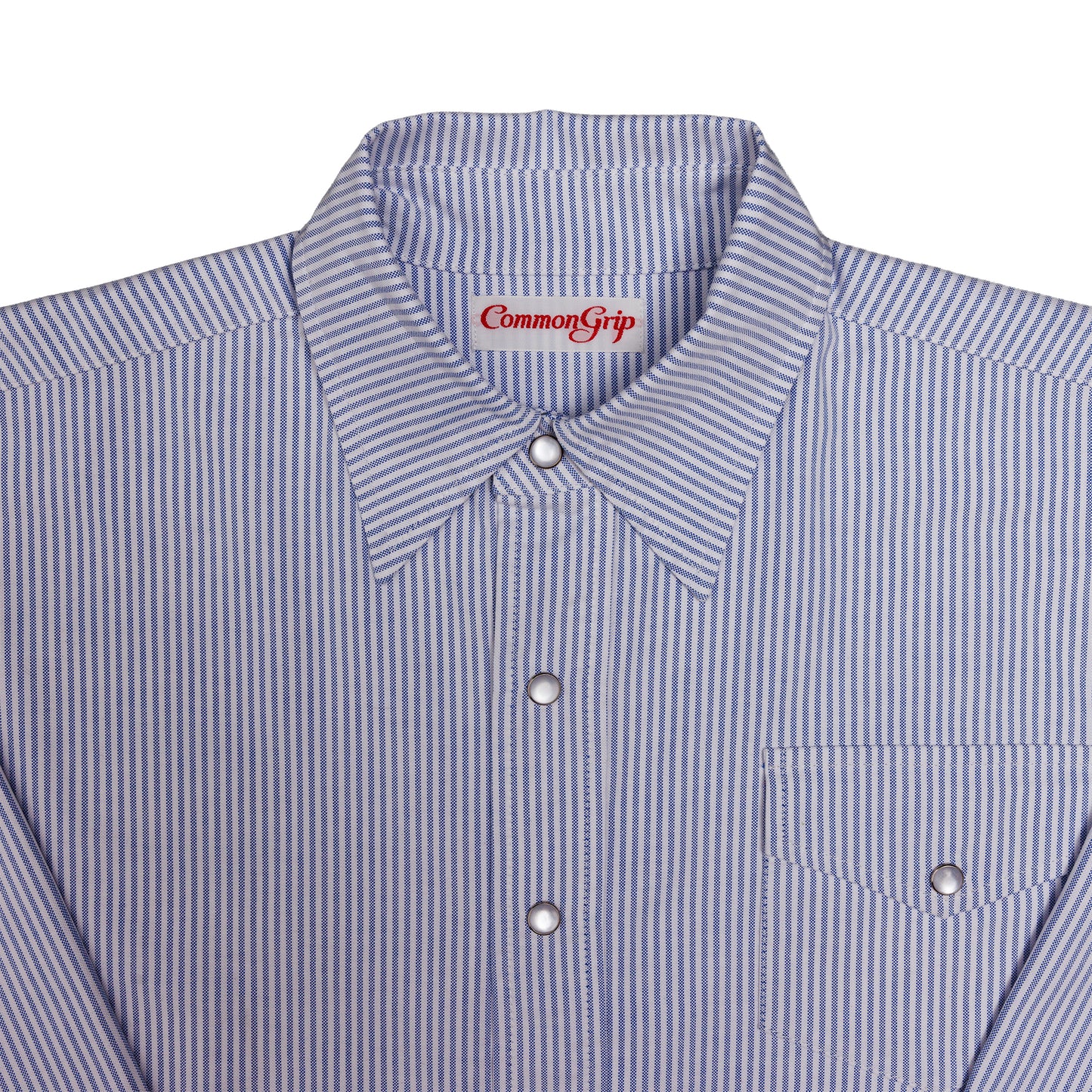 "Blusa" Oxford Cloth Button Down (Pinstripe Blue)