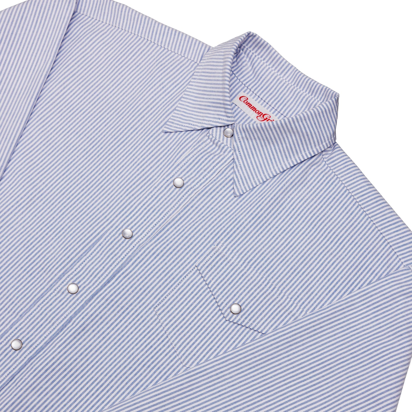 "Blusa" Oxford Cloth Button Down (Pinstripe Blue)