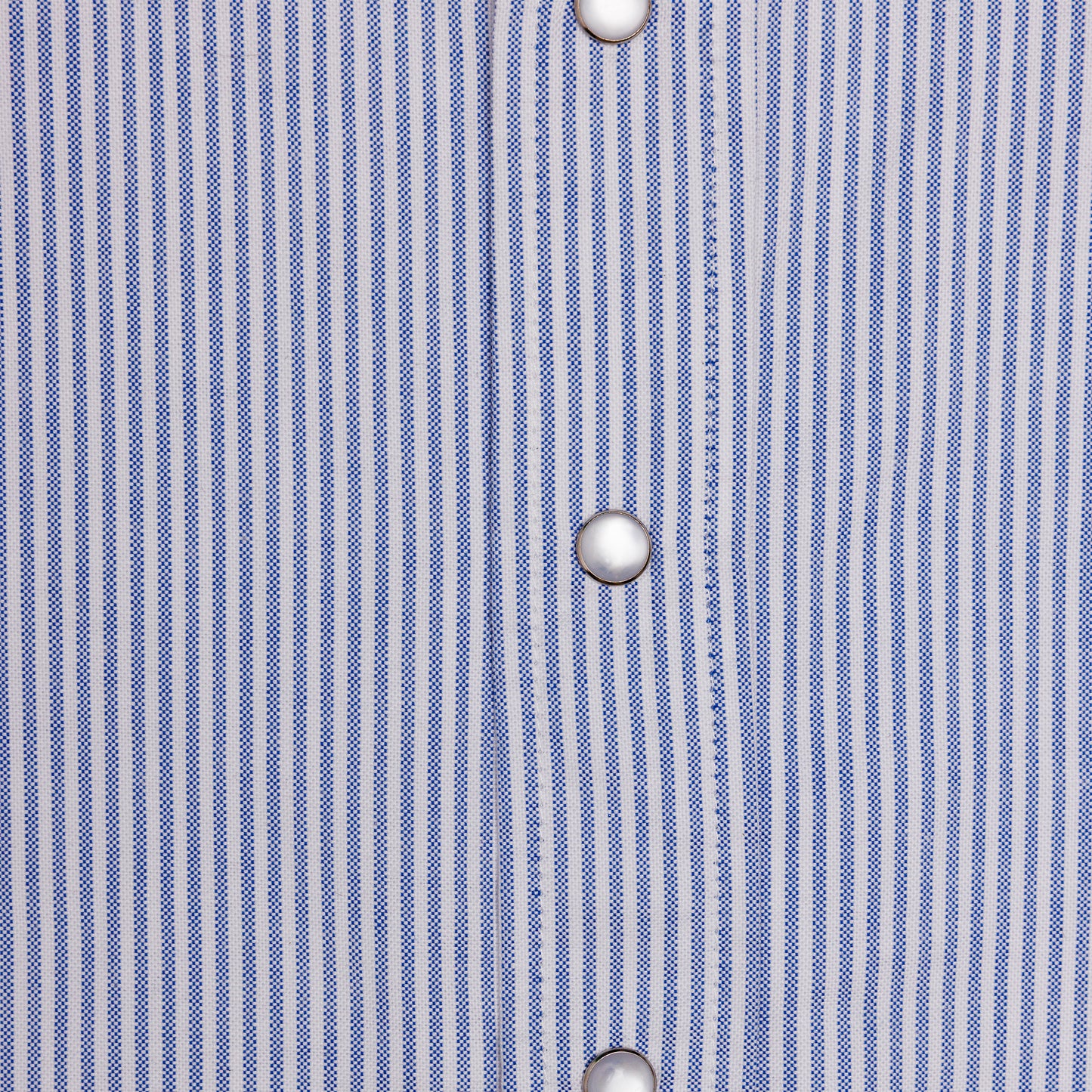 "Blusa" Oxford Cloth Button Down (Pinstripe Blue)